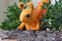 Die Eichhörnchen-Story